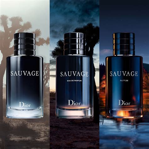 sauvage de dior sephora|dior sauvage 100ml best price.